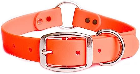 Regal Dog Products Medium Orange Waterproof Dog Collar with Heavy Duty Center Ring, Double Buckle & D Ring | Vinyl Coated, Custom Fit, Adjustable Pet Collars | Other Sizes for Puppy Small & Large Dogs