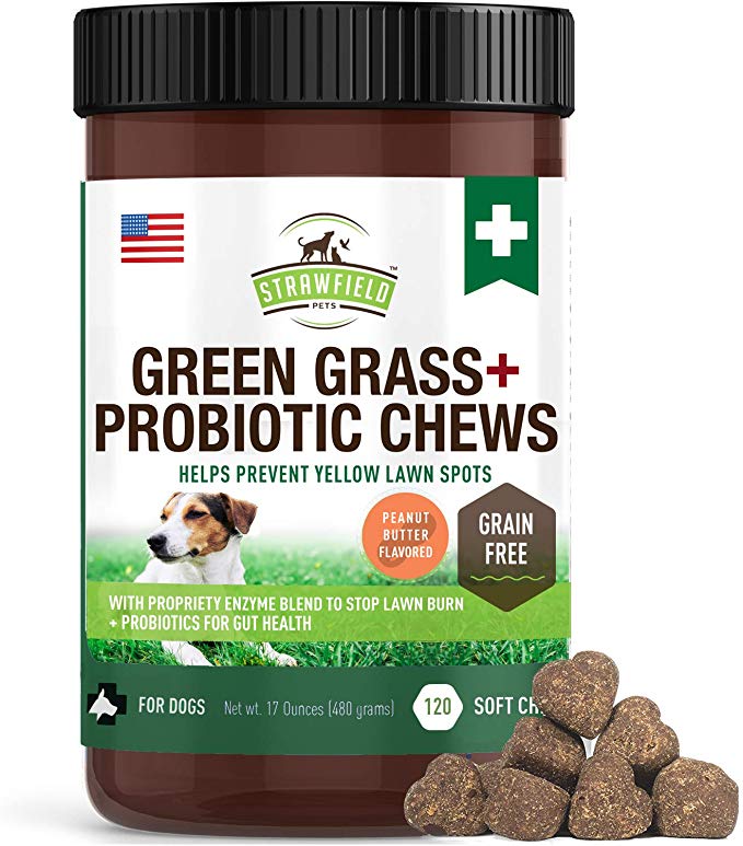 Grass Saver for Dogs - 120 Grain-Free Chews - Dog Urine Neutralizer for Grass Burn Spots, Dog Pee Lawn Repair   Chewable Probiotics for Dogs, Digestive Enzymes, DL Methionine, Apple Cider Vinegar, USA