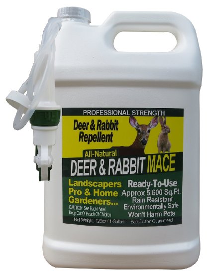 Nature's Mace 1 Gallon Ready-to-Use Deer & Rabbit Repellent, 5600 Sq Ft