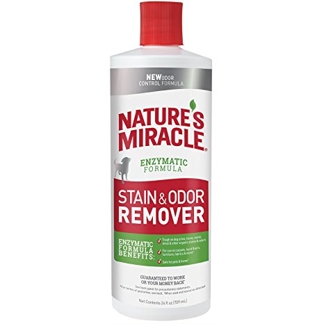 Nature's Miracle Stain and Odor Remover