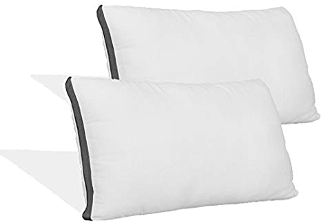 Coop Home Goods - Pillow Protector - Waterproof and Hypoallergenic - Protect Your Pillow Against Fluids/Spills/Mites/Bed Bugs - Oeko-TEX Certified Lulltra Fabric - Queen (2 Pack)