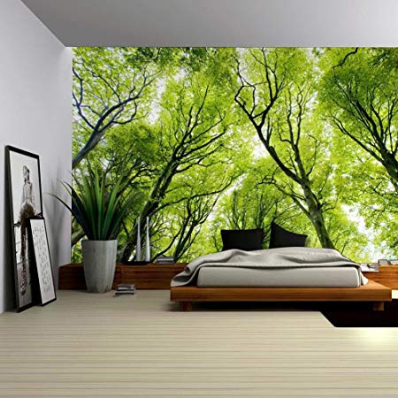 Mystic Forest Farm House Decor Tapestry Dark Forest Scenery with Sunbeams Woodland Landscape Wall Hanging for Bedroom Living Room Dorm Home Art (Green, 78Wx59L)