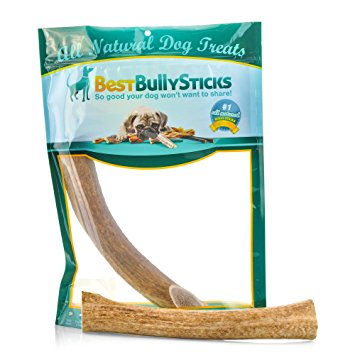 Grade-A Elk and Deer Antler Dog Chews by Best Bully Sticks (1 Pack) Sourced in the USA