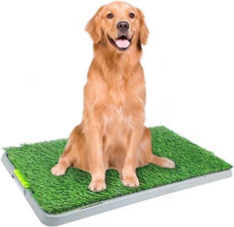 PAWISE Dog Training Pad Holder Tray, Portable Potty Trainer - Indoor Dog Potty - Puppy Pad Floor Tray - Large