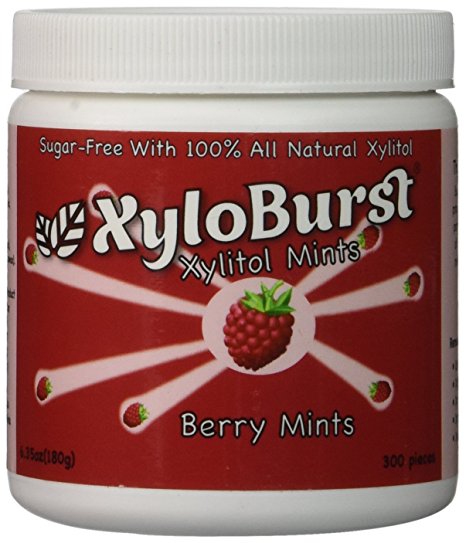 XyloBurst Mint Jar Berry 300ct (6.35oz)