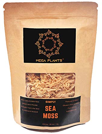 MegaPlants Irish Sea Moss 16 Oz - 100% Wildcrafted Chemical-Free, Preservative-Free, Non-GMO, Gluten-Free, Vegan, Raw SuperFood. Grown in Protected Oceans. Straight from the Sea, Sundried & Sealed.