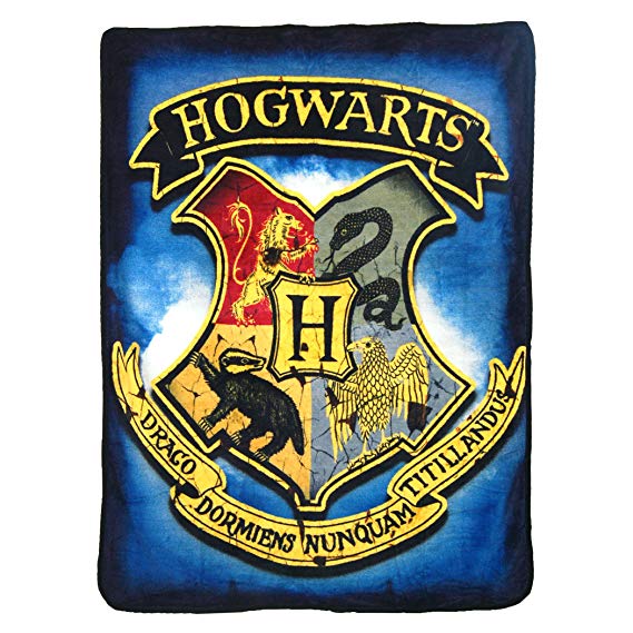 Warner Brothers Harry Potter, "Hidden School" Micro Raschel Throw Blanket, 46" x 60", Multi Color