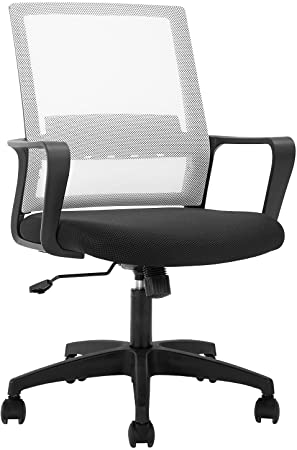 FDW Home Office Chair Ergonomic Desk with Lumbar Support Armrests Mid-Back Mesh Computer Executive Adjustable Rolling Swivel Task (White)
