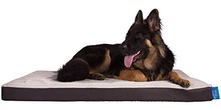 Silentnight SN Ultra Grade MF Dog Bed - Faux Leather Brown - Medium END OF LINE - MUST GO FAST - BIG DISCOUNTS