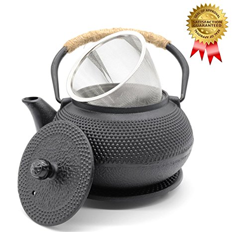 OMyTea Japanese Cast Iron Teapot Tea Kettle Tetsubin with Infuser Strainer and Trivet, Hobnail Pattern, 28oz / 800ml