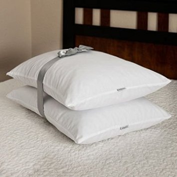 NEW Homedics Memory Foam Cluster Pillow 26" x 20" 2 pack