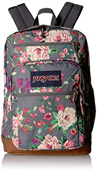 JanSport Cool Student Backpack