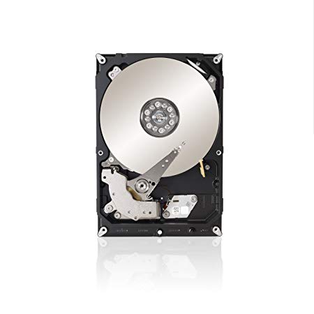 Seagate 4 TB Terascale HDD SATA 6Gb/s 64MB Cache 3.5-Inch Internal Bare Drive (ST4000NC001)