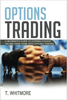Options Trading: A Beginner’s Guide to Earning Passive Income from Home with Options Trading