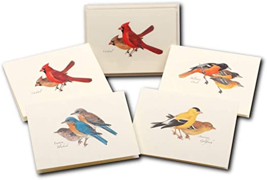 Earth Sky   Water - Peterson’s Bird Assortment I Notecard Se t- 8 Blank Cards with Envelopes (2 Each of 4 Styles)
