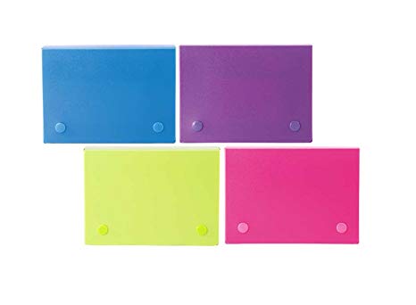 Filexec 4 x 6 Inch Index Case, Snap Button Closure, 5 Index Dividers, Assorted (Pack of 4) (50097-2026)