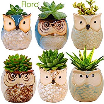6 Owl Planter Pots - Ideal as Succulent Plant Pots - Gorgeous Owl Design - Includes Drainage Hole - Flower or Bonsai Plant Ceramic Pots for Indoor/Outdoor - Offers All-weather Durability