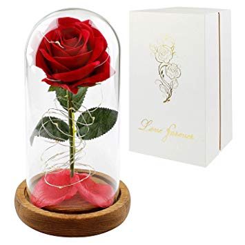 Childom Beauty and The Beast Rose, Roses Enchanted Red Silk Rose with Fallen Petals Led Fairy String Lights in A Dome, Gifts for Anniversary, Wedding (Natural Wood Base-New)