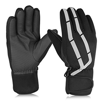 Ski Gloves, Hicool Adult Waterproof Thermal Winter Ski Gloves Snowboard Snowmobile Motorcycle Cycling Outdoor Sports Gloves