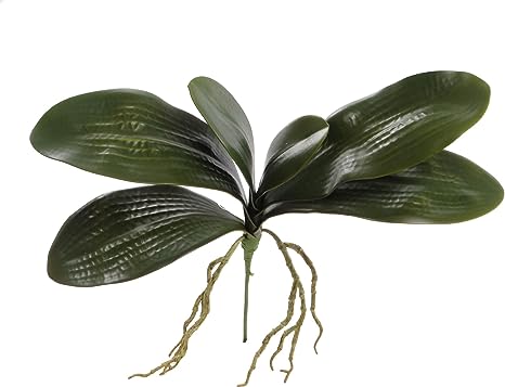 Floral Home 14" Phalaenopsis Orchid Leaf Foliage Stem | Realistic Roots | Real Touch Feel | for Arrangement Making | Home, Office, Party, Event Decor