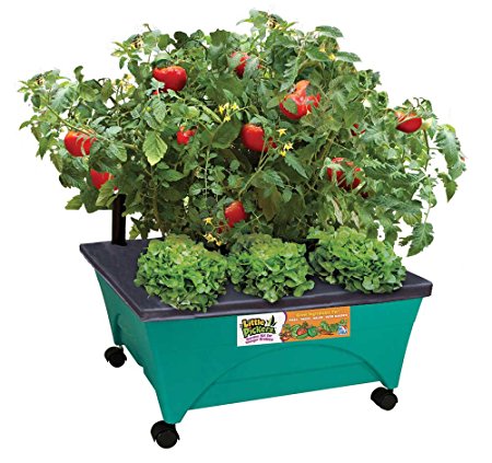 Emsco Group Little Pickers Raised Bed Children’s Grow Box – Self Watering and Improved Aeration – Mobile Unit with Casters – Teaches Kids Gardening