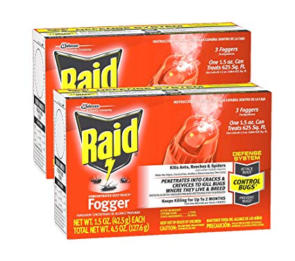 Raid Concentrated Deep Reach Fogger (Pack - 2)