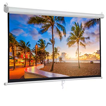 ZENY 100" Projector Screen 16:9 HD Projection Manual Pull Down Portable Foldaway Movie Home Theater Projector Movies Outdoor Screen (100,16:9)