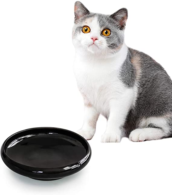 ComSaf Cat Food Water Bowl, Wide Shallow Ceramic Cat Dish, Non Spill Pet Bowl, 10oz, Black, Pack of 1