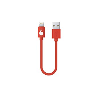 Fire Extinguisher Cable - 6 Inch [Apple MFi Certified] Lightning to USB on the go cable for iPhone 6 / iPhone 6 plus