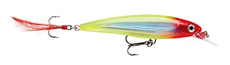 Rapala X-Rap Jerkbait XR10 Fishing Lure