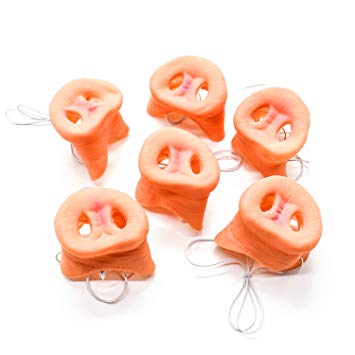 Gonioa 6 Pcs Pig Nose with Elastic Band Costume Animal Mask Holloween Party Prop for Adult