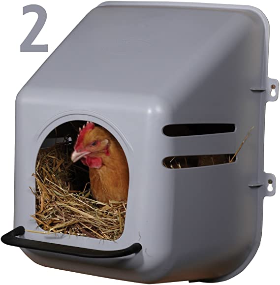 Miller 2 Pack of Large Wall Mount Egg Nesting NEST Boxes with Perch for Chicken COOP Hen House Poultry