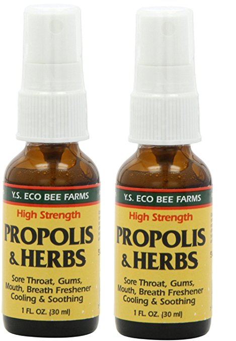 Propolis & Herbs Throat Spray YS Eco Bee Farms 1 oz Spray (Pack of 2)