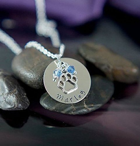 Personalized Paw Print Necklace - DII - Pet Lover Gift - Handstamped Handmade - 1 Inch 25.4MM Silver Disc - Choose Birthstone Color - Customize Name - Fast 1 Day Shipping