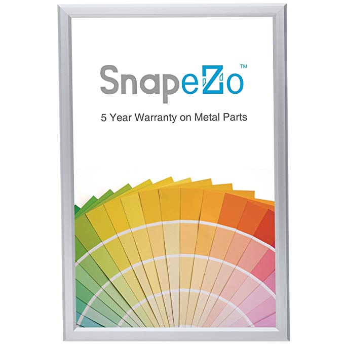 SnapeZo Poster Frame 24x30 Inches, Silver 1.25" Aluminum Profile, Front-Loading Snap Frame, Wall Mounting, Professional Series