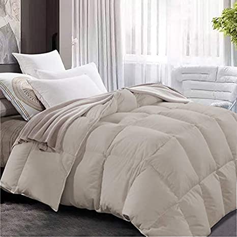 Maple Down Soft Update Queen Size Comforter Duvet Insert-Down Alternative Comforter Quilted with Corner Tabs for All Season-Lightweight Breathable Brushed Microfiber Machine Washable (White 90”x90”)