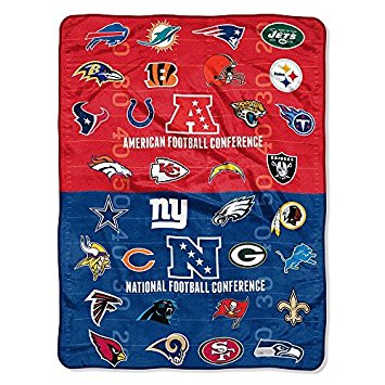 Northwest NFL Super Plush Throw Blanket