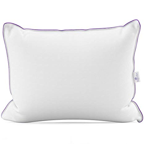 Queen Anne LoftKing High Density Fill Pillow - Hypoallergenic - Extra Firm Support - USA Made (Queen Size)