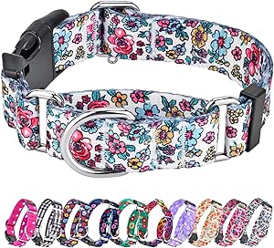 Martingale Collar for Dogs, Adjustable Soft Nylon Dog Collars with Special Design Cute Patterns for Small Medium Large Dog