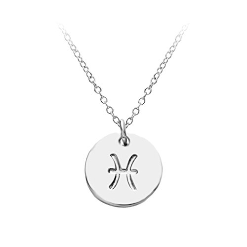 HACOOL 12 Zodiac Sign Tag Constellation 925 Sterling Silver Horoscope Astrology Disc Charm Necklace