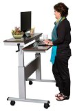 48 Crank Adjustable Height Sit to Stand Up Desk with Heavy Duty Steel Frame Dark Walnut Shelves  Silver Frame