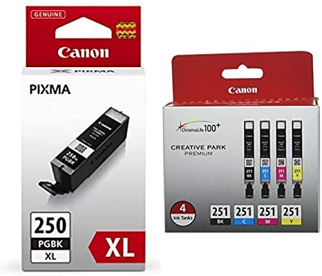 Canon 6432B001 PGI-250 XL Black Ink Cartridge and Canon CLI-251 BK/CMY 4PK (4-Color Pack), Black,Cyan, Magenta, Yellow