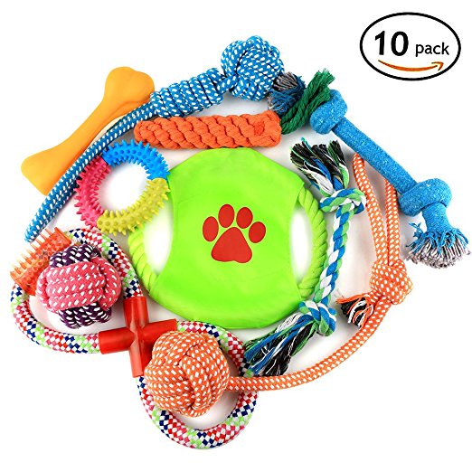Airsspu Dog Toys 10 Piece Gift Set - Chew Toys Squeaky puppy toys and Assorted Toys for Dogs in a Unique Dog Toy Set