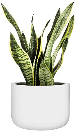 10 inch Plant Pot with Drainage Hole & Plugs, Indoor Outdoor Flower Pot, Modern White Garden Planter, Fiber Resin Plant Pot, Lightweight but Durable, Small, 10x6.7 inch