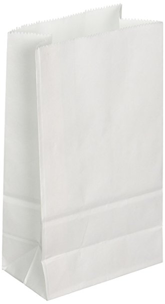 Big Value White Paper Crafting Bags 40/pk