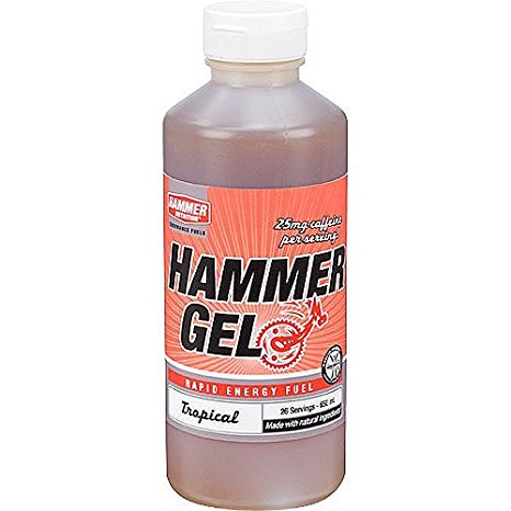 2013 Hammer Nutrition Complex Carbohydrate Energy Gel