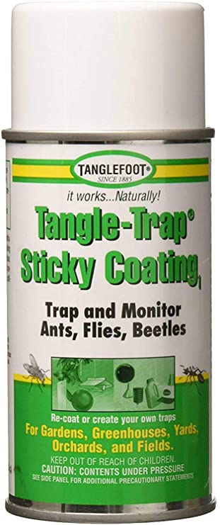 Tanglefoot Tangle-Trap Sticky Coating Aerosol 10 OZ - 0461712
