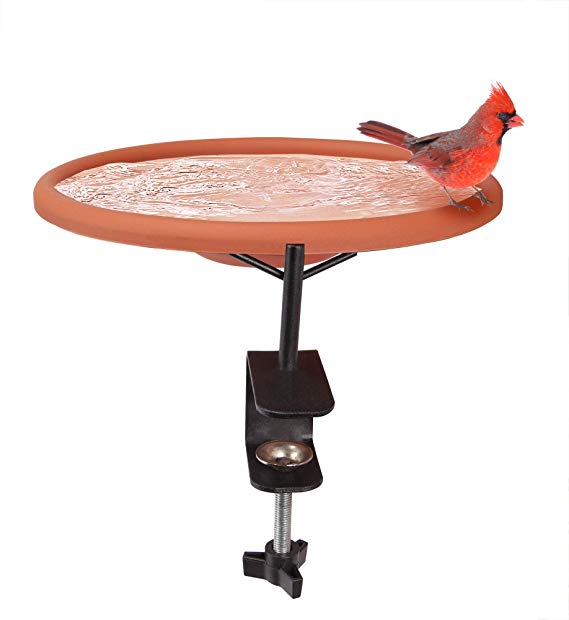The Paragon Deck Mounted Bird Bath, Songbird and Wild Bird Spa, Lightweight Detachable Unheated Polypropylene Bird Bath Bowl and Heavy Duty Sturdy Iron Clamp