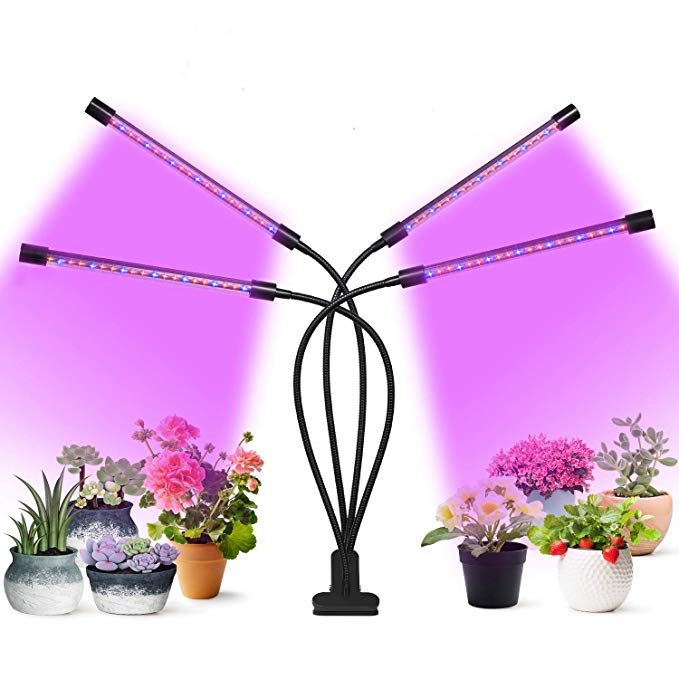 OxyLED Plant Grow Light, 36W Four Head 80 LED Plant Grow Lights for Indoor Plants with Red Blue Spectrum, Adjustable Gooseneck, 3/6/12H Timer, Clip-On Desk Growing Lamp with 5 Dimmable Levels