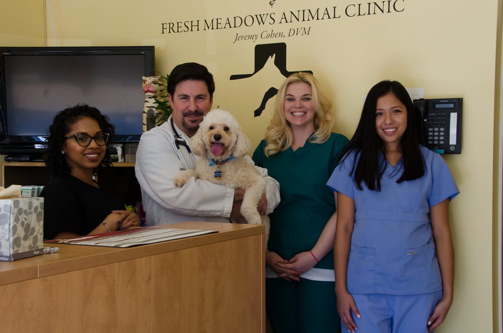 Fresh Meadows Animal Clinic